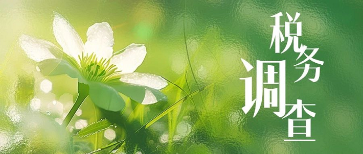 税务调查全攻略：了解税务调查、应对税务调整的策略